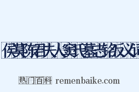 侯莫陈君夫人窦氏墓志铭反义词是什么意思的图片